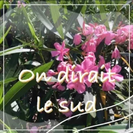 Un Petit Coin De Paradis *