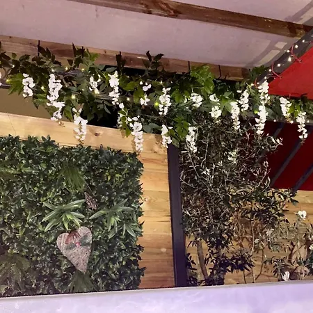 Apartment Un Petit Coin De Paradis