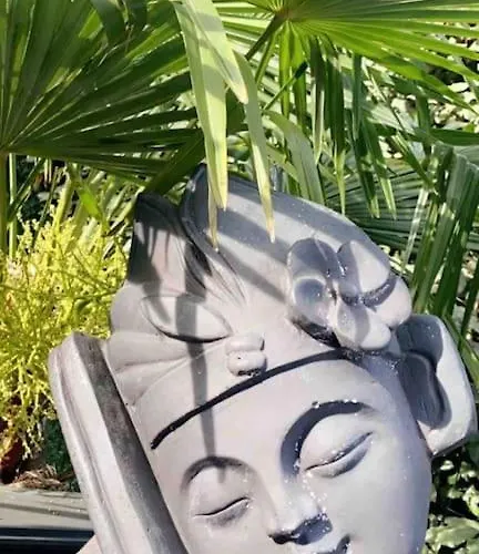 Lägenhet Un Petit Coin De Paradis Toulouse