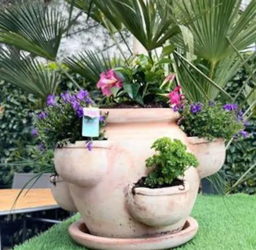 Un Petit Coin De Paradis