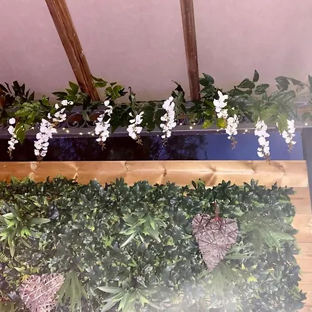 Un Petit Coin De Paradis Lägenhet Toulouse