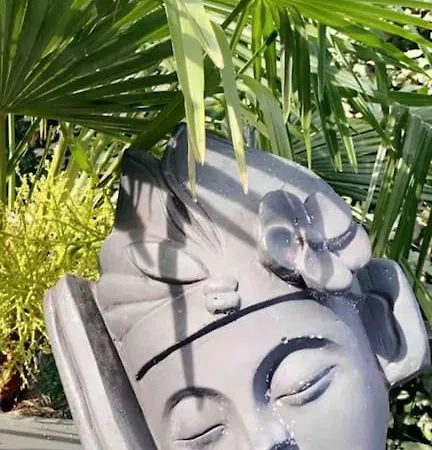 アパート Un Petit Coin De Paradis トゥールーズ