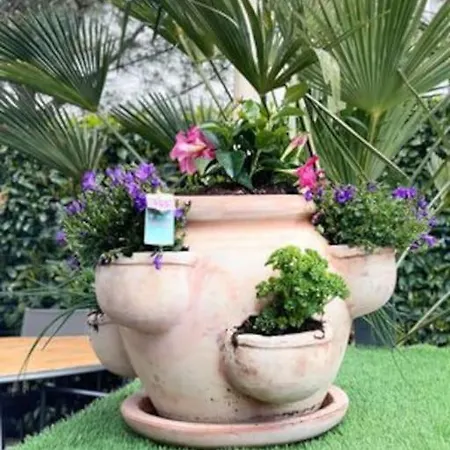 Un Petit Coin De Paradis