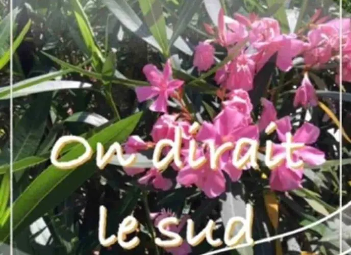 Un Petit Coin De Paradis *