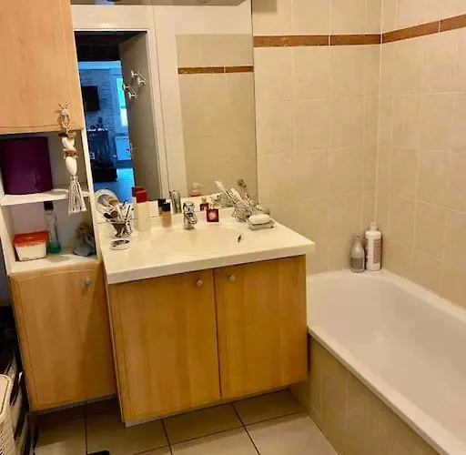 Un Petit Coin De Paradis 公寓 *